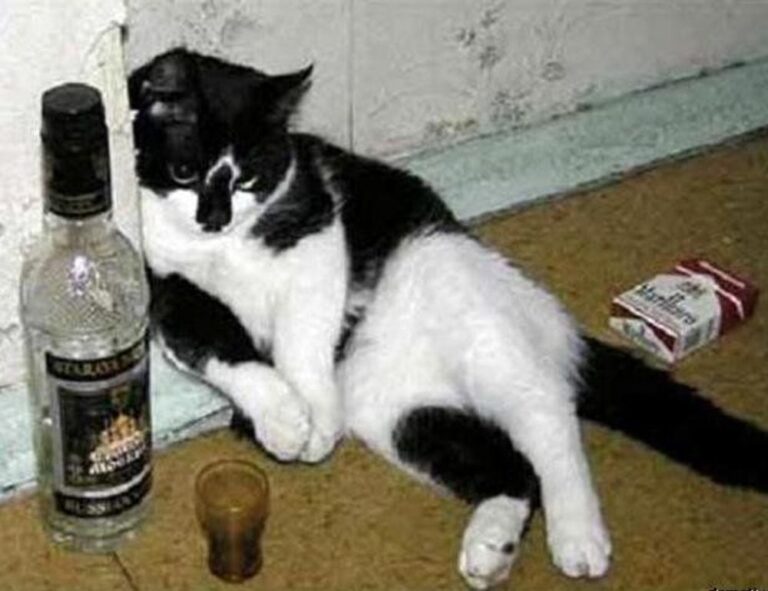 can you reuse vacuum seal bags livpristvac