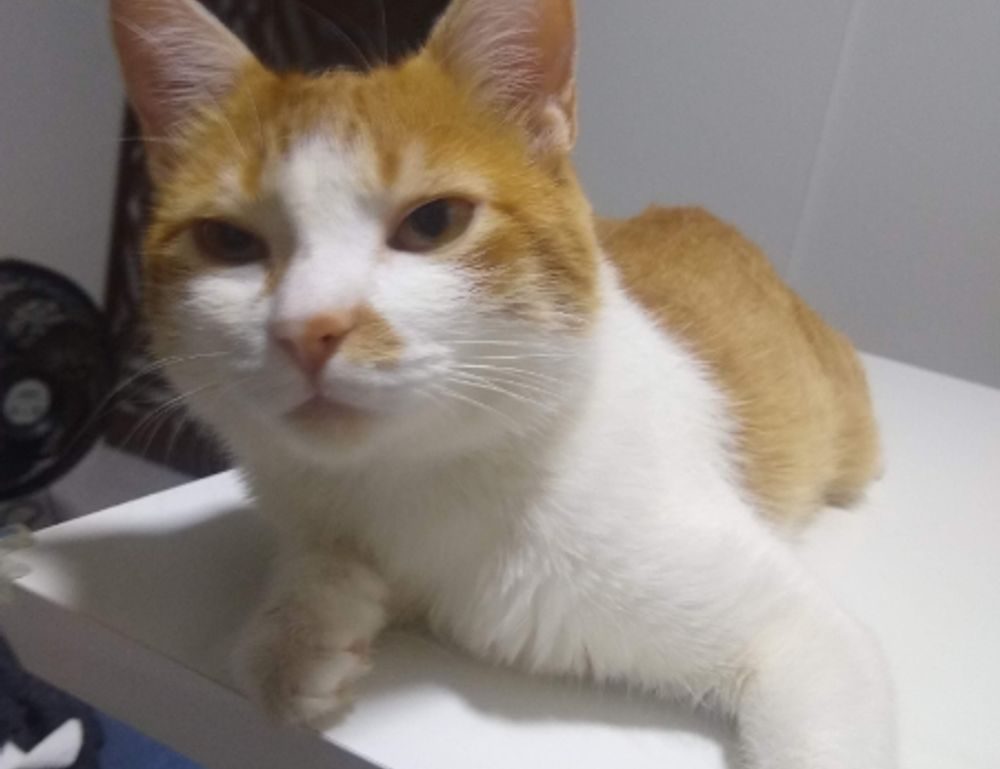 drhandybility handy home tips from drhomey