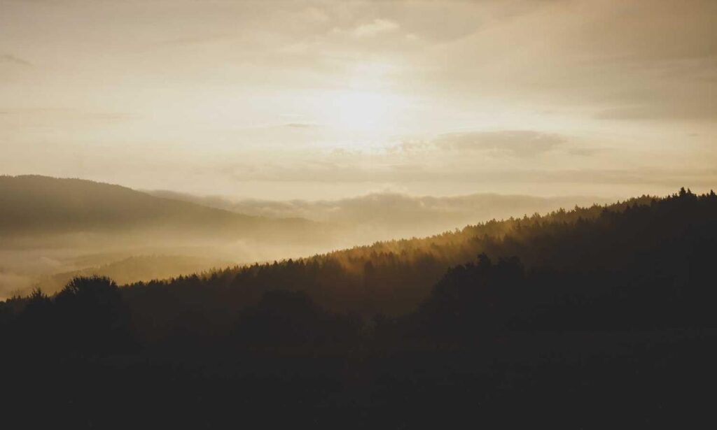 drhextreriorly exterior plan from drhomey