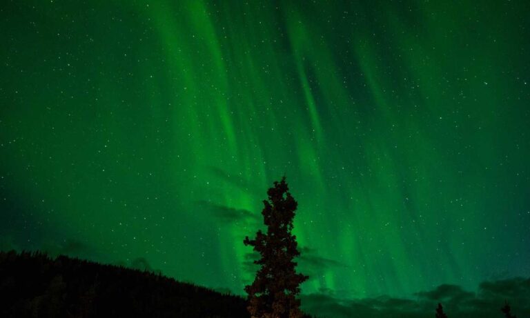 exterior design drhextreriorly