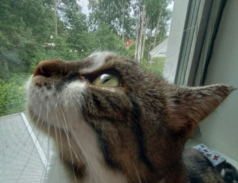 handy tips drhandybility