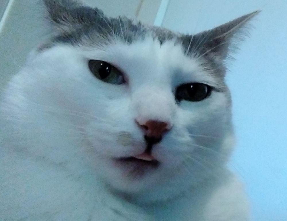 home exterior upgrade homemendous