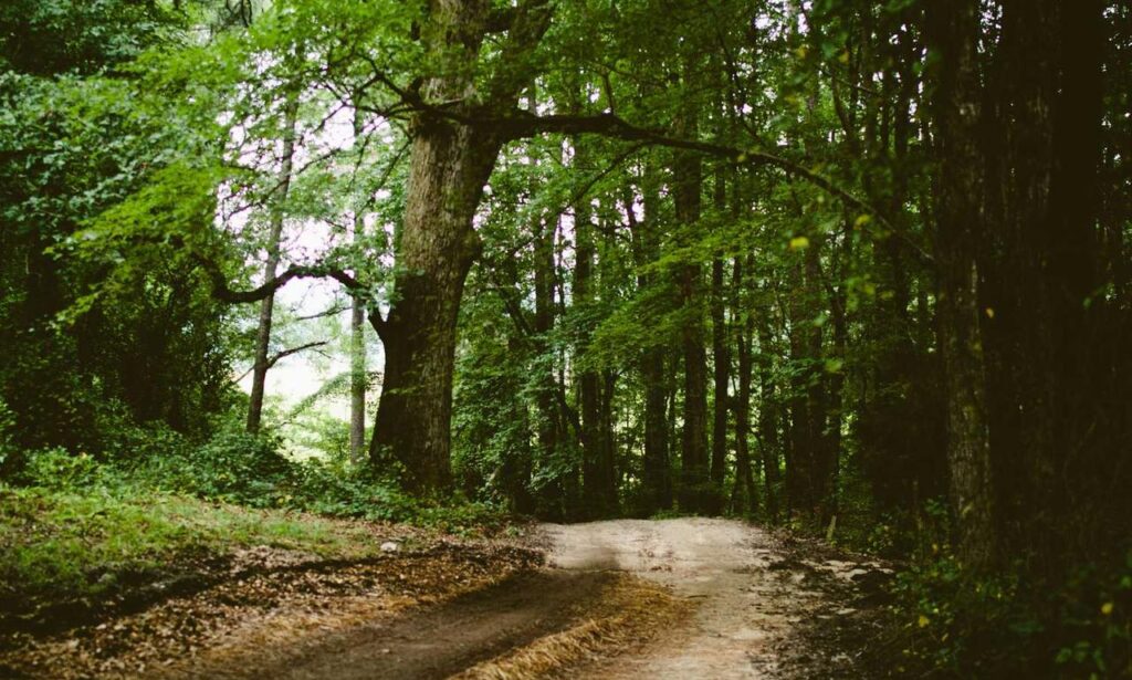 home guide drhandybility