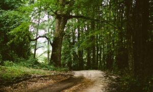 home guide drhandybility