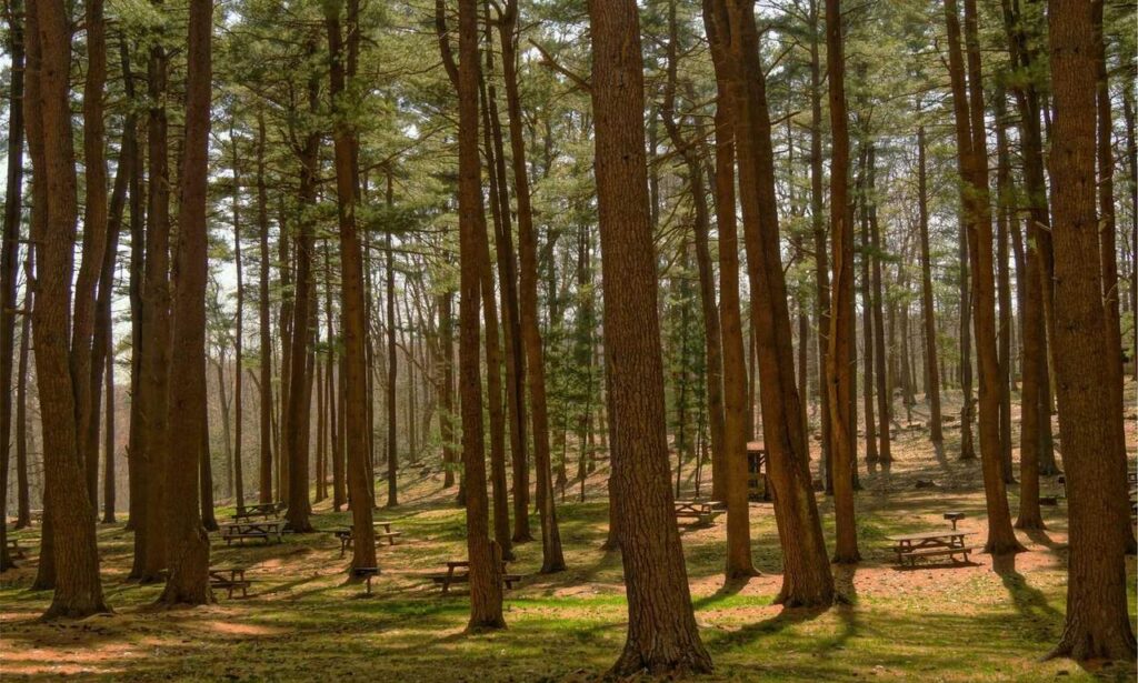 home renovation tips miprenovate