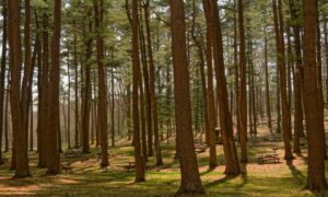 home renovation tips miprenovate