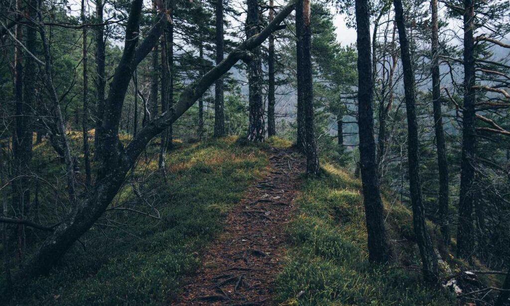 home tips heartomenal