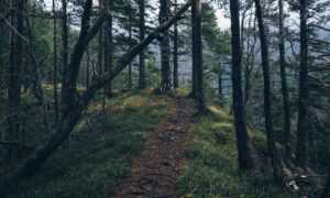 home tips heartomenal