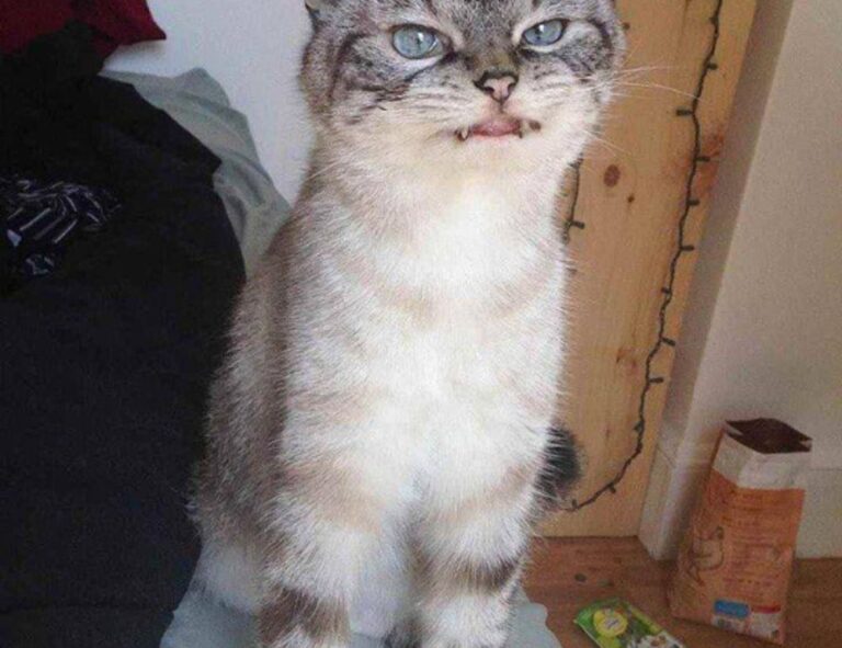 homemendous garden tricks from homehearted