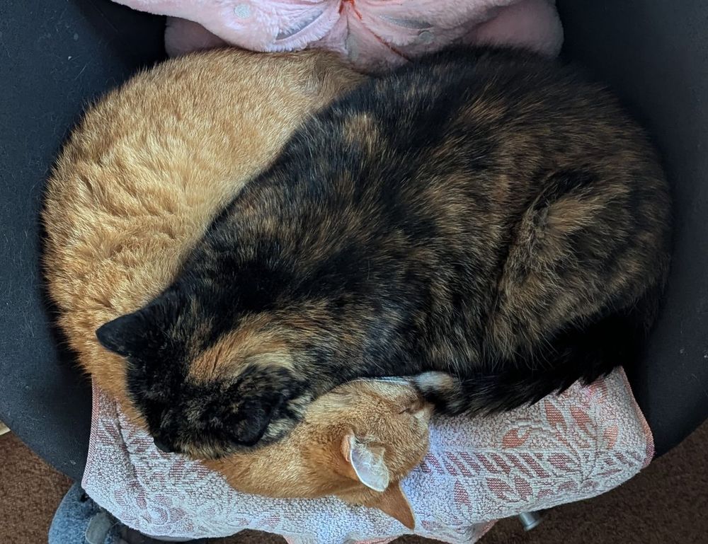 house interior mintpalhouse