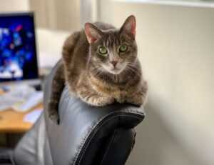 house renovation heartomenal