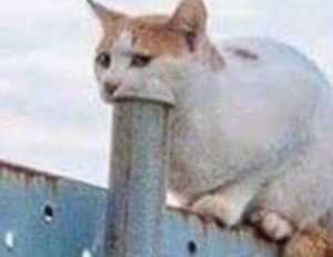 how can interior design affect human behavior kdadesignology