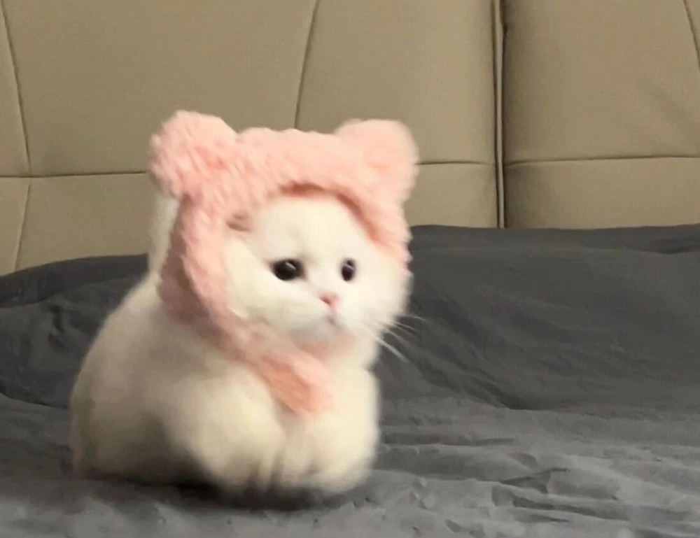 how do handymen charge drhandybility