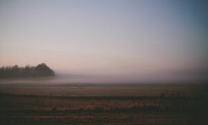 how should exterior shutters fit drhextreriorly