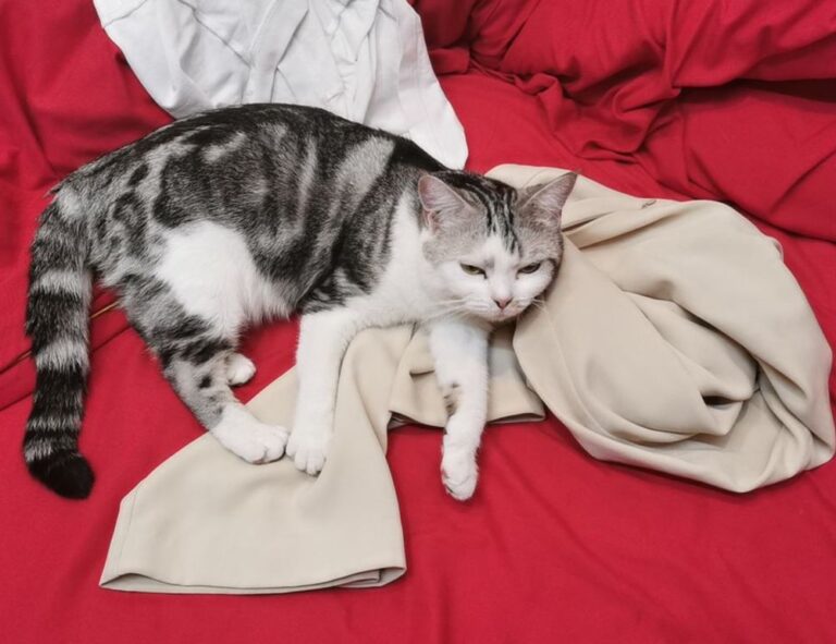 how to make garden decorations kdalandscapetion