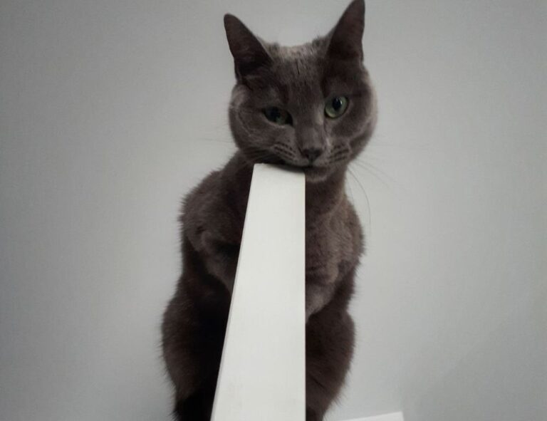 interior design guide kdadesignology