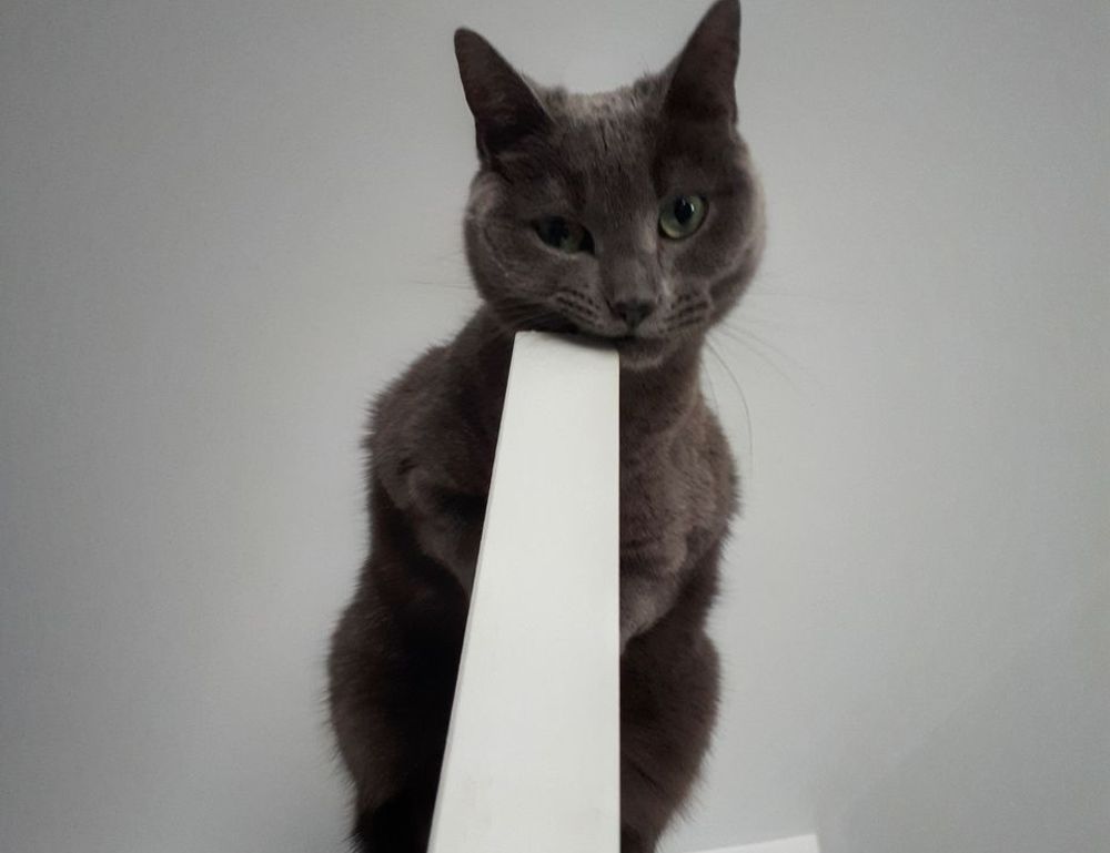 interior design guide kdadesignology