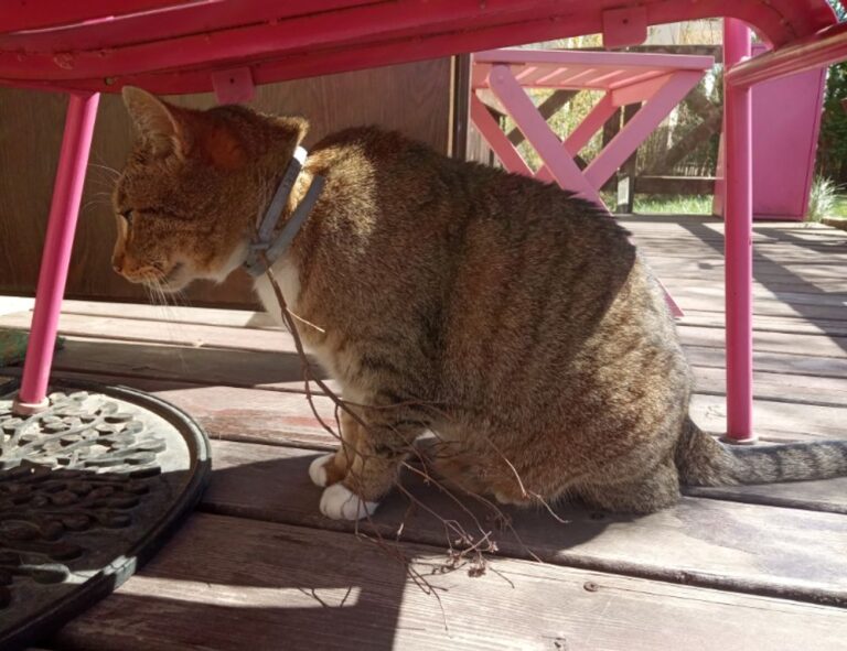 interior design kdadesignology