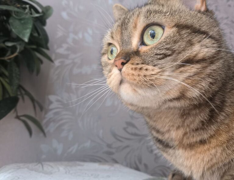 kdadesignology interior design by kdarchitects