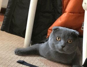 lighting interior mipimprov