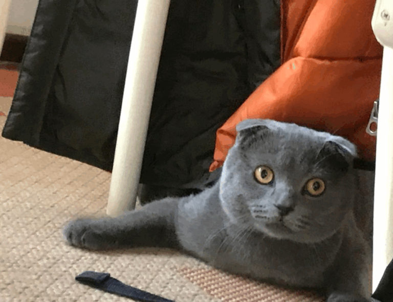 lighting interior mipimprov