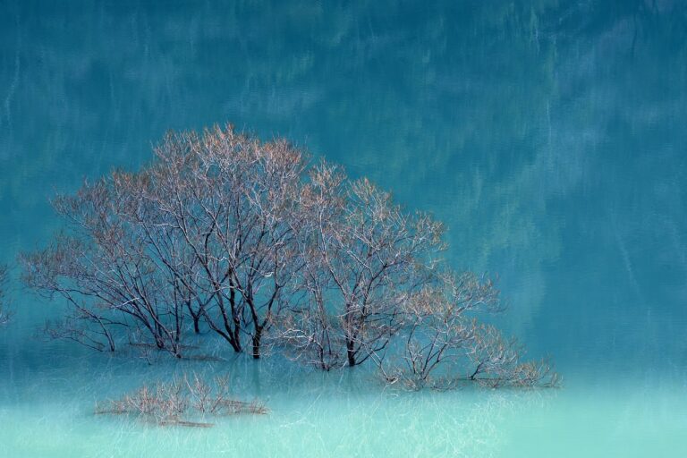 mintpalhouse home decor by myinteriorpalace