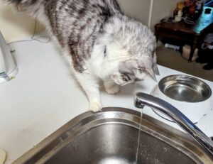 outer home design drhextreriorly