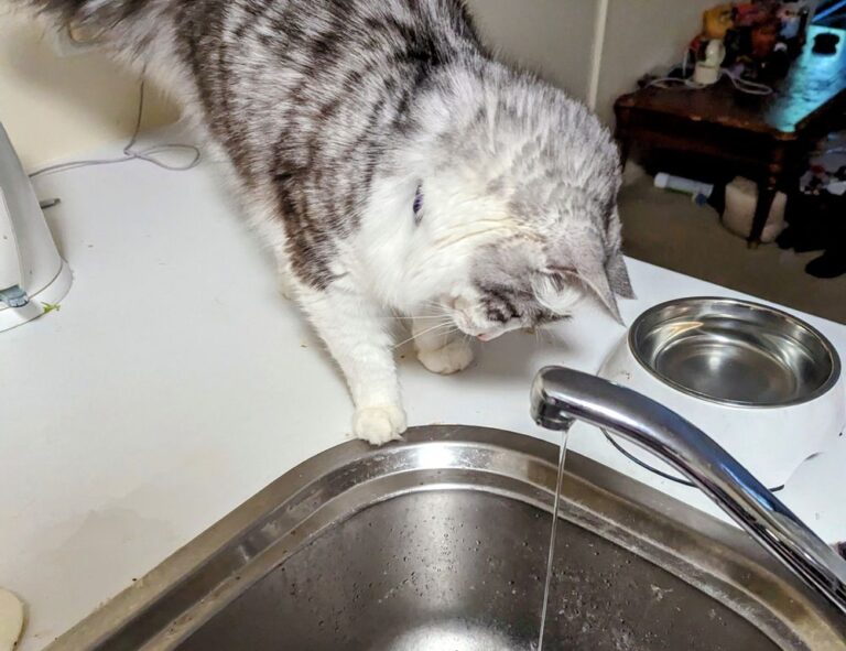 outer home design drhextreriorly