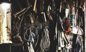 terrace upgrade homemendous