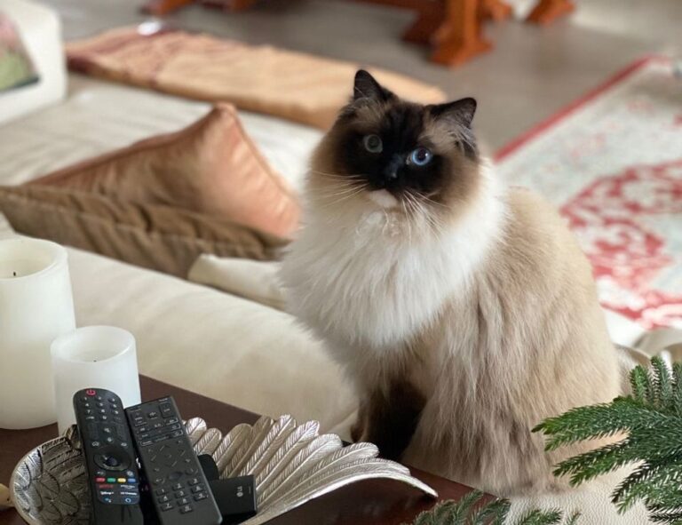 useful tips drhandybility