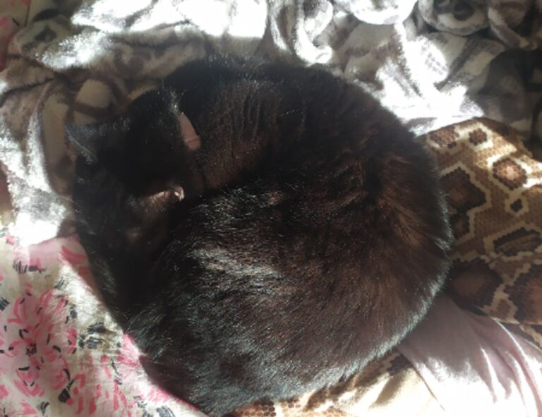 what is the most important thing in interior design mintpalment