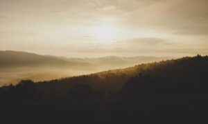 what to look for in safety glasses mrshomegen