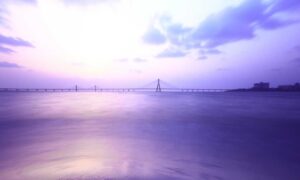 where to buy shark vacuum livpristvac