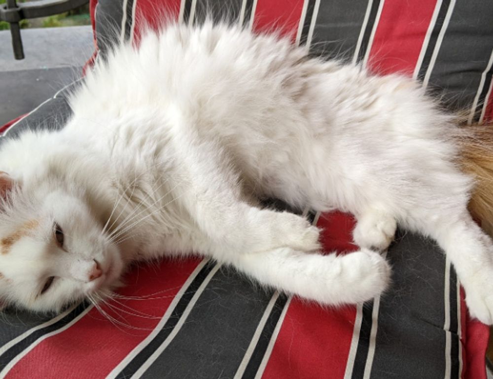 which interior design style are you kdadesignology