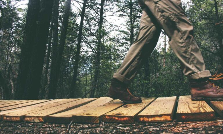 why decoration is important kdalandscapetion