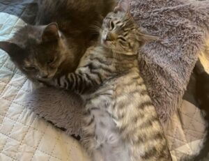 why gardens are important kdagardenation