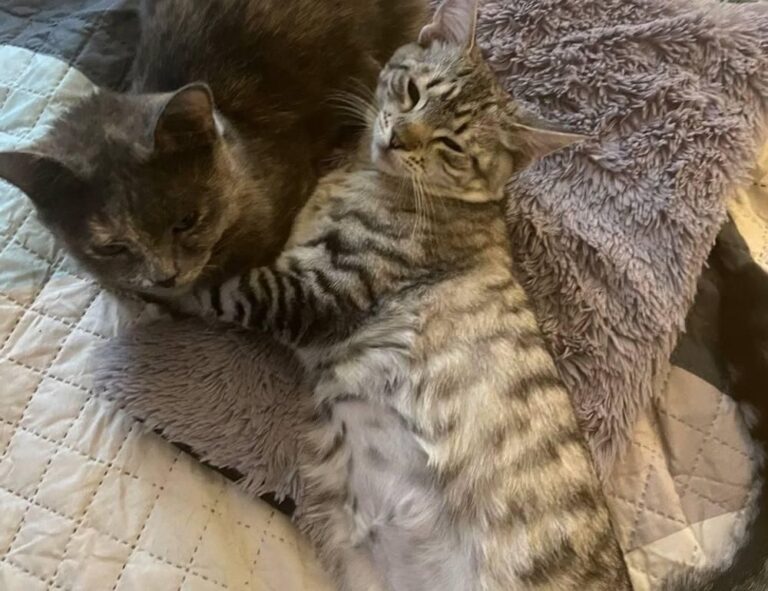 why gardens are important kdagardenation