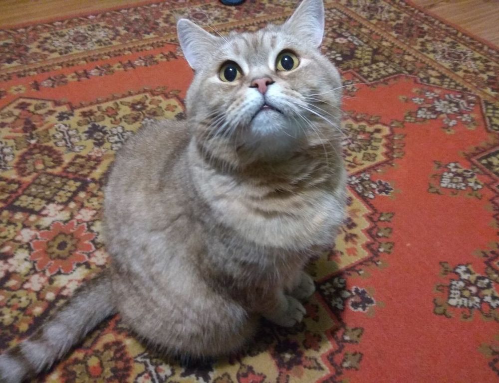 winter cleaning hacks mrshomegen