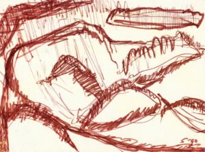 Designing Garden Beds Kdagardenation