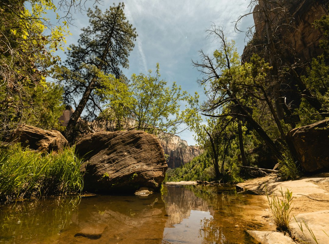 How to Design a Garden Layout Kdagardenation