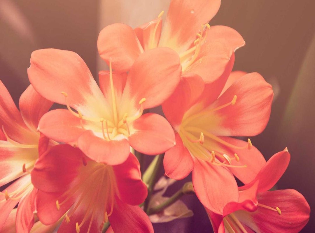 Speaking Truth to Power: Journalists Who Challenged the Status Quo