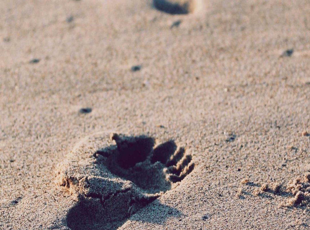 Beyond the Crayons: Fun Ways to Use Your Stitch Coloring Sheets