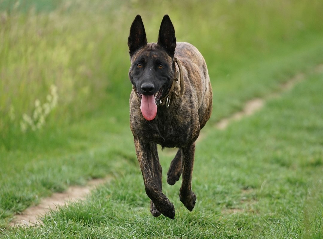 What Is Polis Evo 3 About? A Quick Plot Recap