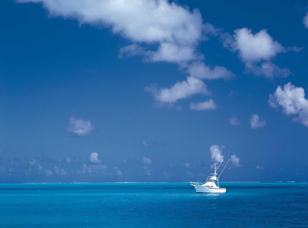 The Pros and Cons: A Balanced View of the Subscription